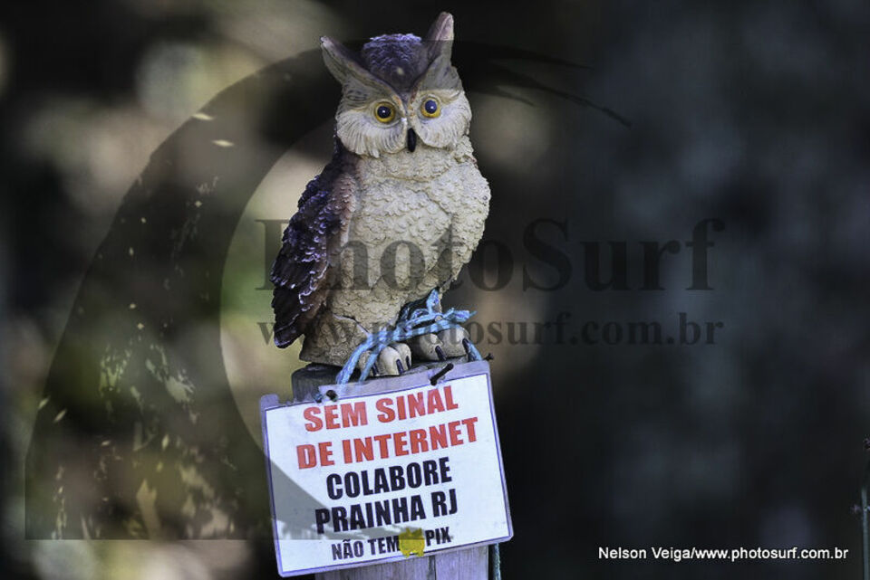 Prainha - 01 de agosto de 2023