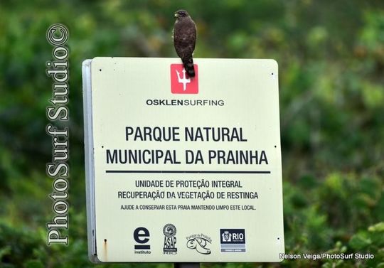 uma foto vale muito mais que mil palavras uma foto vale muito mais que mil palavras