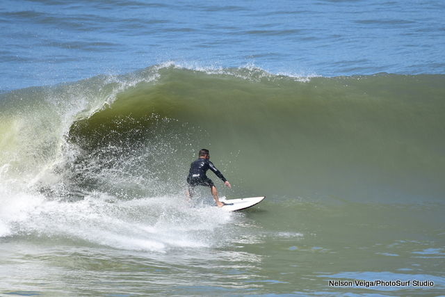 Foto Photo of the day -03/03/2021 - Imagem 4