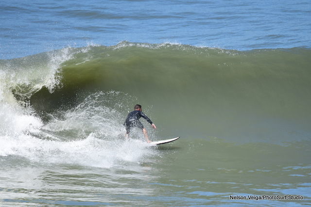 Foto Photo of the day -03/03/2021 - Imagem 3